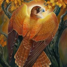 Схема вышивки «ястреб»