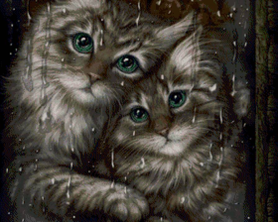 дождь за окном - кот, котята, окно.природа, погода, дождь, картина - предпросмотр