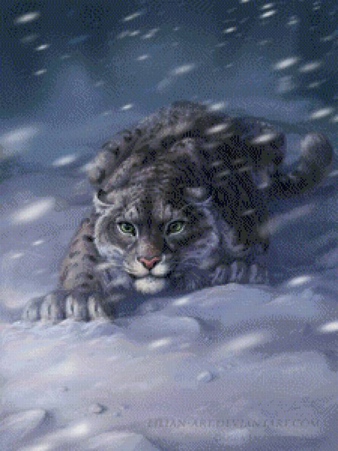 снежный барс - снежный барс - предпросмотр