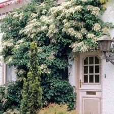 Схема вышивки «№912272»