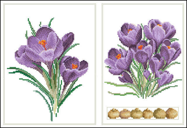 Крокусы - оригинал