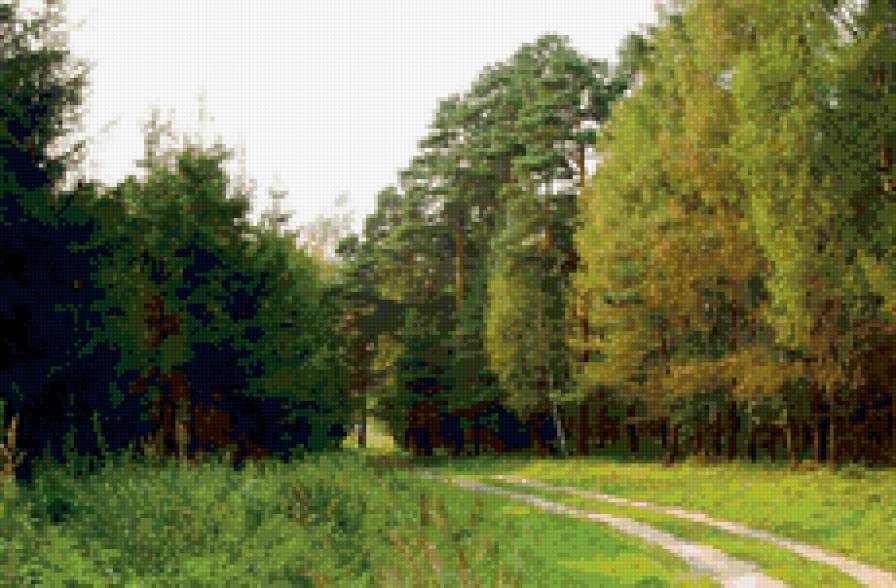 Лесная тропинка - лес, пейзаж. природа, тропинка - предпросмотр