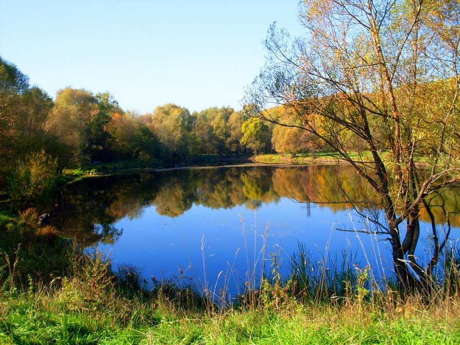 Золотая осень - осень, пейзаж, пруд - оригинал