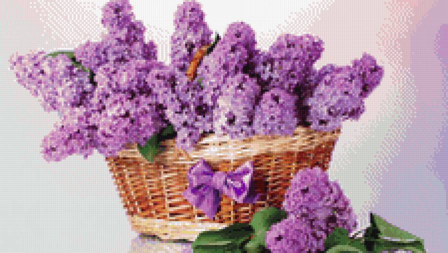 Сирень в корзине - цветы, сирень - предпросмотр