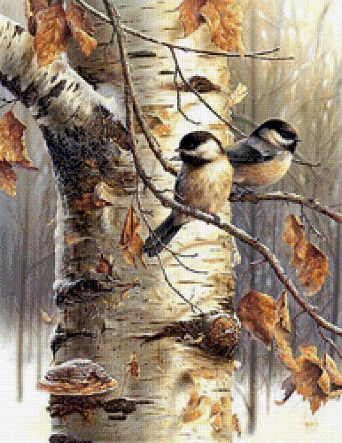 птички-синички - лес, природа, птички, береза, осень, пейзаж, синички - предпросмотр