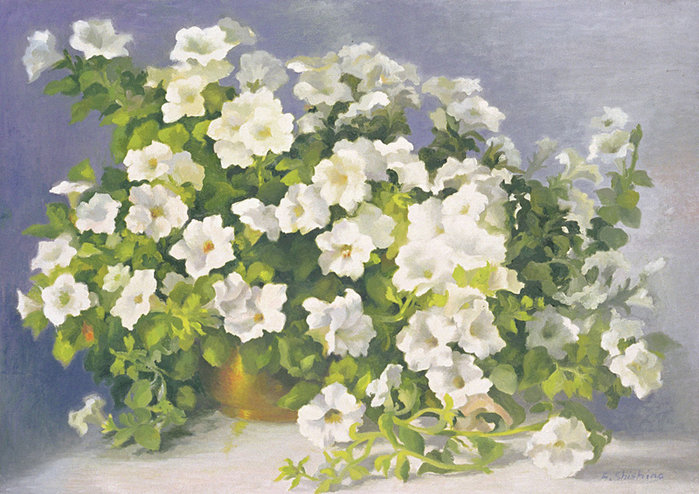 белая петуния - натюрморт, букет, петуния, ваза, живопись, цветы, нежность - оригинал