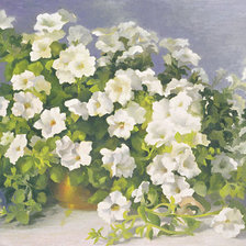 Схема вышивки «белая петуния»