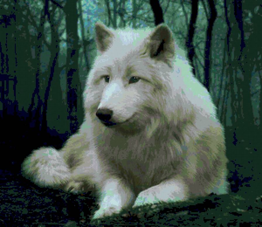 Lobo - animales - предпросмотр