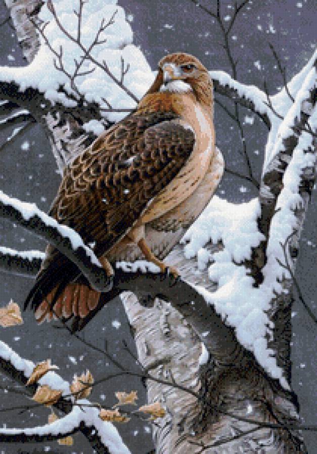 №913485 - предпросмотр