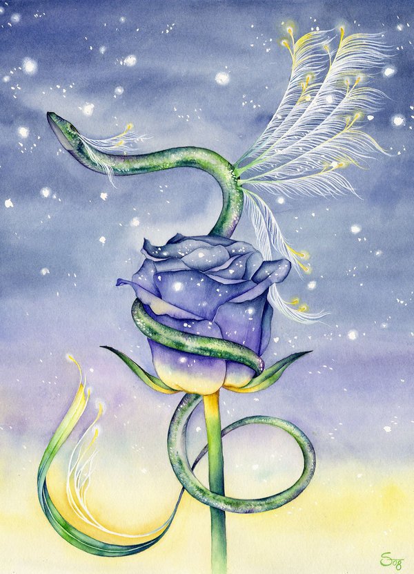 Guardian of the Dusk Rose by Siluan - роза, дракон, хранитель, цветок - оригинал