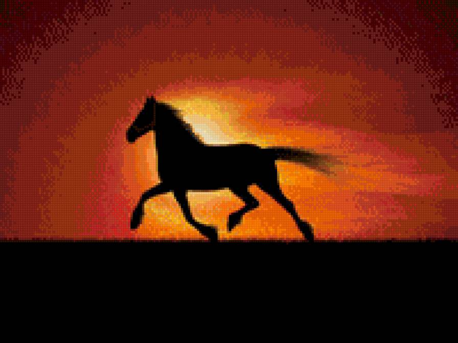 Лошадь на закате - лошадь, закат - предпросмотр