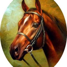 Схема вышивки «лошадь портрет»