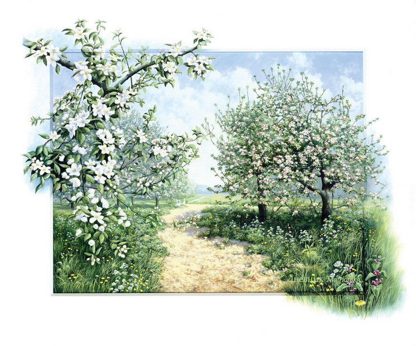 цветущая яблоня - весна, сад, цветы - оригинал