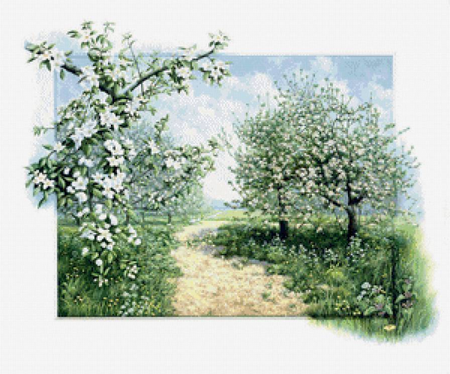 цветущая яблоня - цветы, весна, сад - предпросмотр