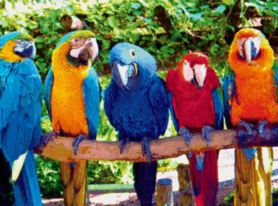 №913978 - предпросмотр