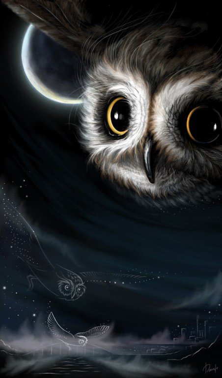 Сова - сова, птицы, живитные - оригинал