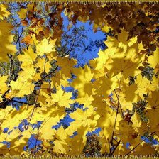 Схема вышивки «№914000»