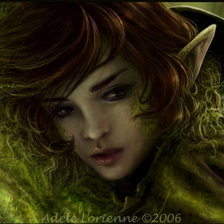 Схема вышивки «Лесной эльф»