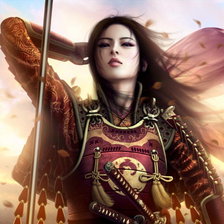 Схема вышивки «Дева-воительница»