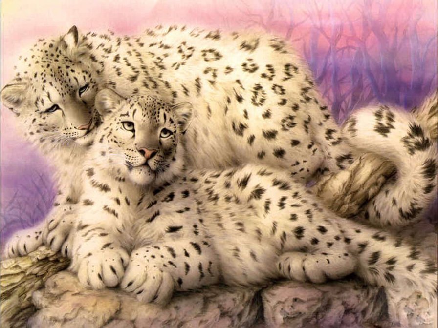 Барс - барс, живитные - оригинал