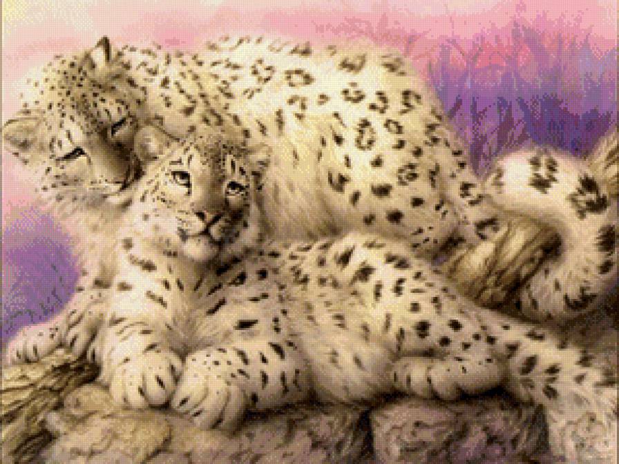 Барс - живитные, барс - предпросмотр