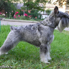 Схема вышивки «№914344»