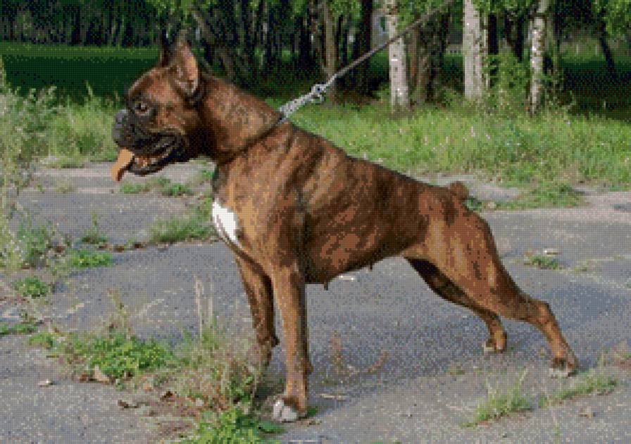 №914366 - предпросмотр