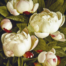 Схема вышивки «№914404»