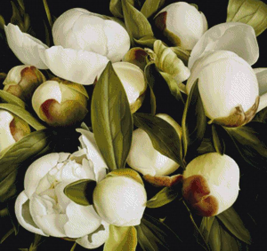 №914414 - предпросмотр