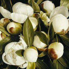 Оригинал схемы вышивки «№914414»