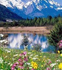 Схема вышивки «№914624»