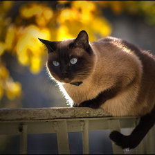 Схема вышивки «№914705»