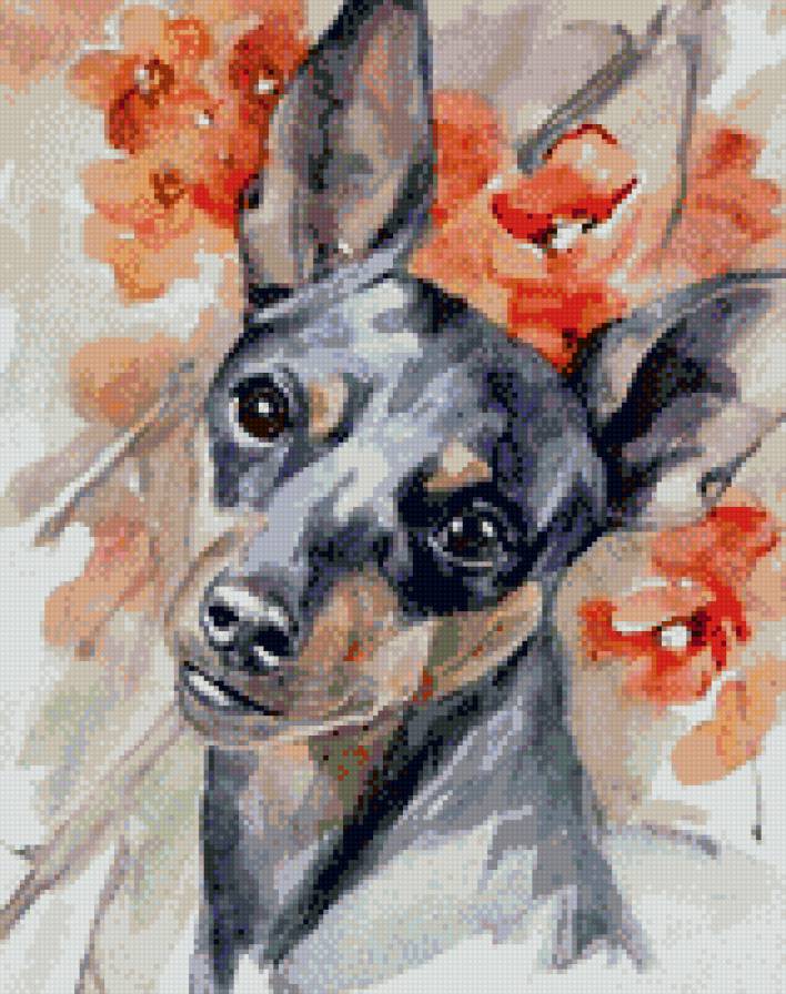 пинчер - предпросмотр