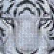 Предпросмотр схемы вышивки «тигр на скале» (№915098)