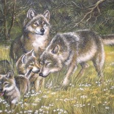 Схема вышивки «№915123»