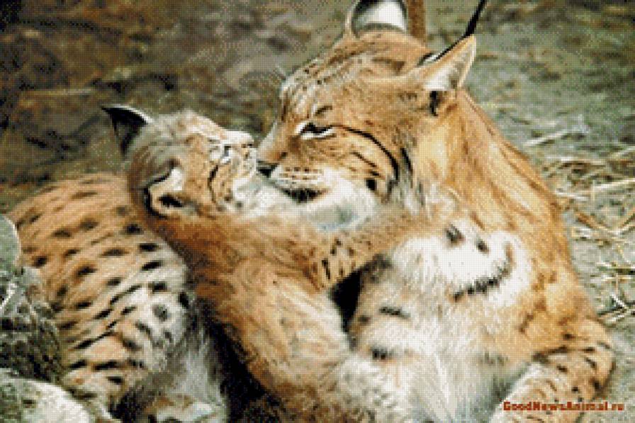 №915129 - предпросмотр