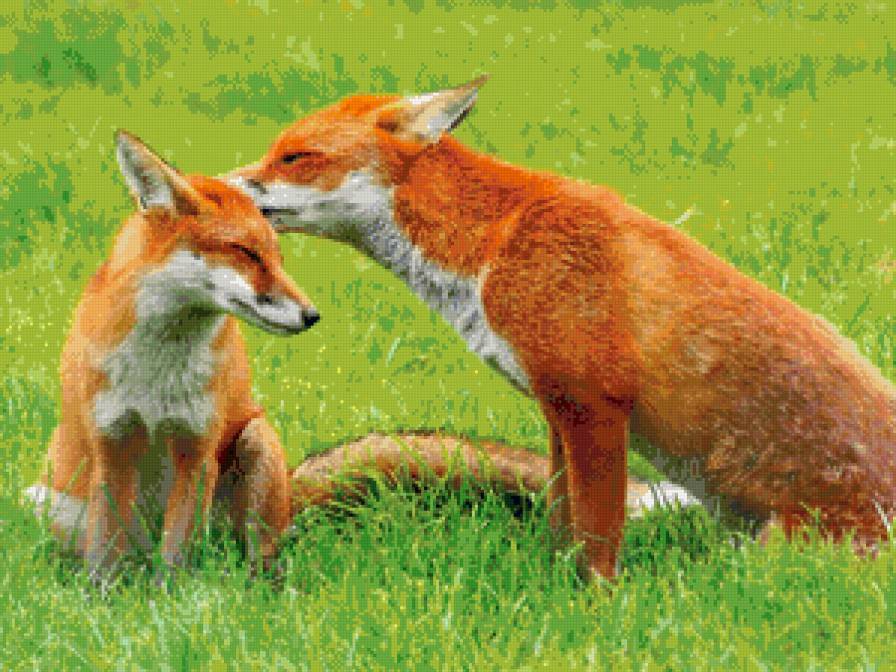 №915140 - предпросмотр