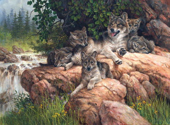 №915142 - оригинал