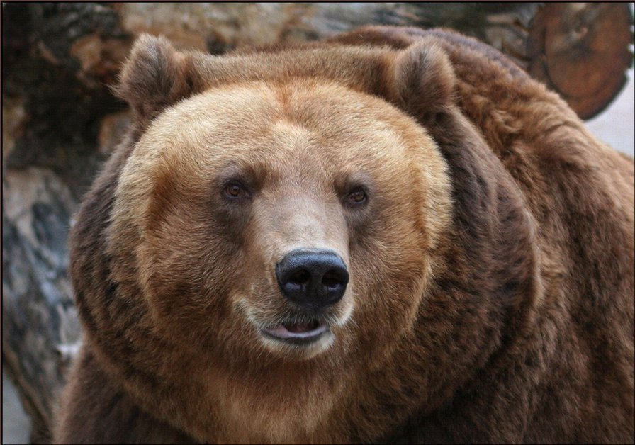 №915172 - оригинал