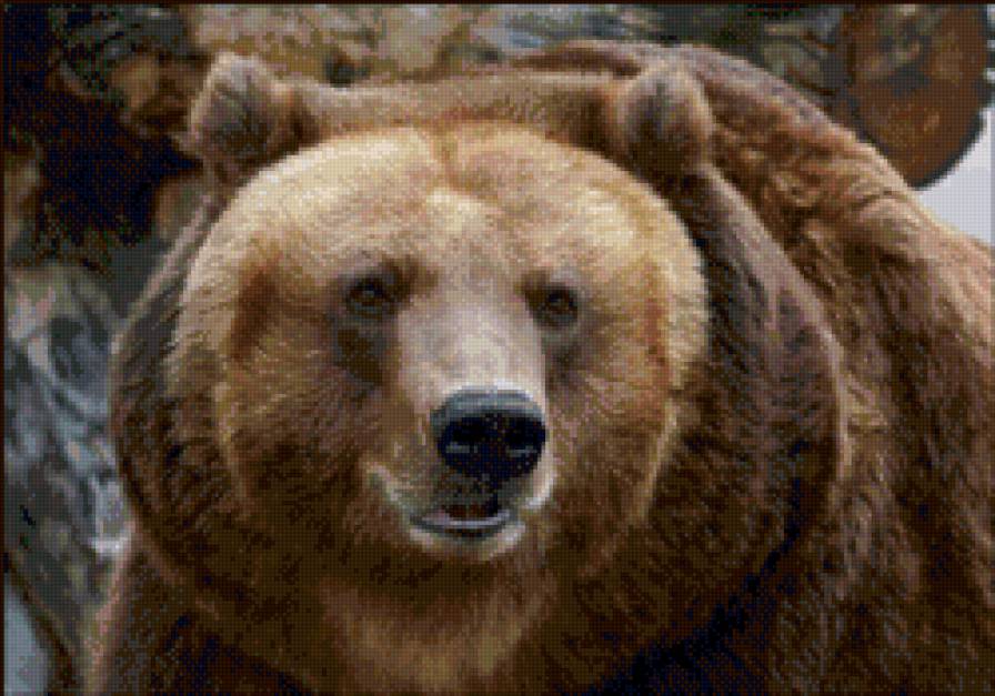 №915172 - предпросмотр