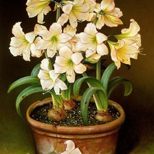 Схема вышивки «№915175»