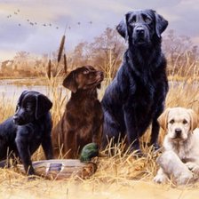 Схема вышивки «№915178»