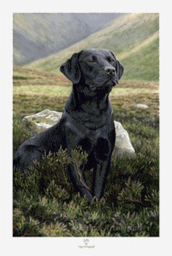 №915180 - предпросмотр