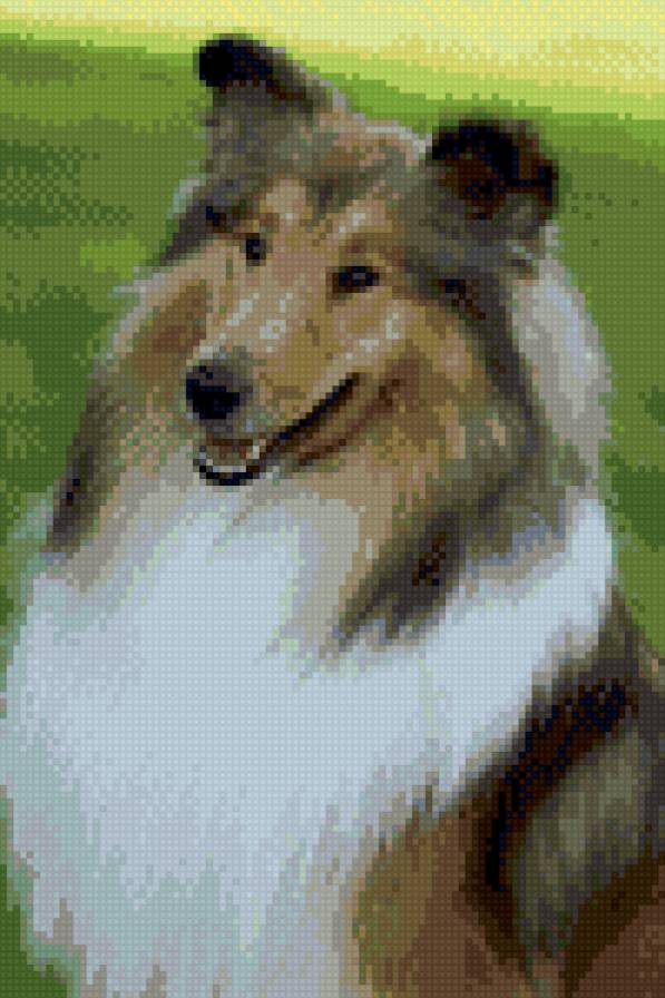 №915181 - предпросмотр