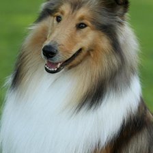 Схема вышивки «№915181»