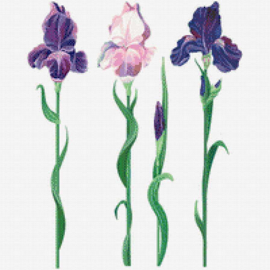 №915231 - предпросмотр