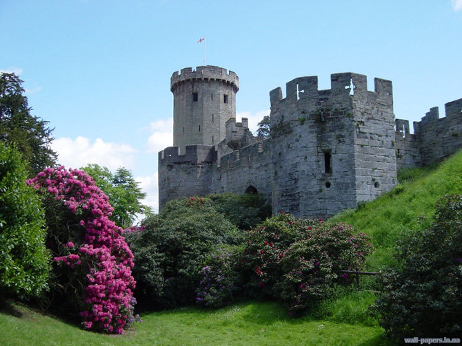 №915264 - оригинал