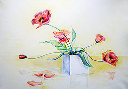 маки - рисунок, цветы - оригинал