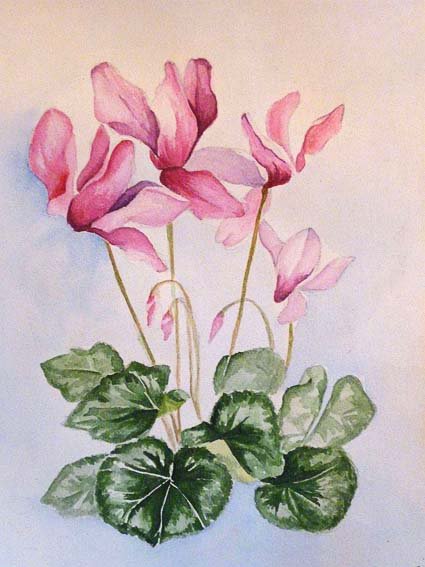 цветы - рисунок, цветы - оригинал