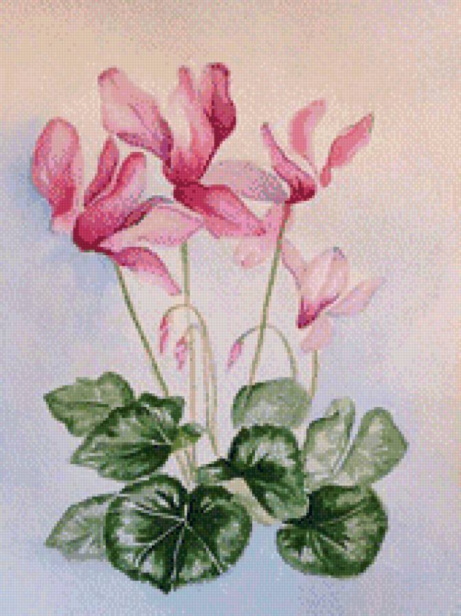 цветы - цветы, рисунок - предпросмотр